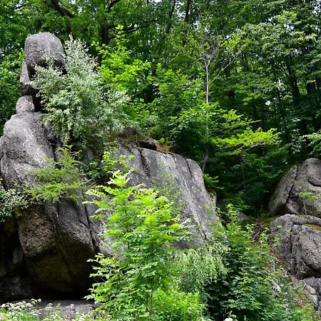 Wilcza Gajowka Фермерский дом *