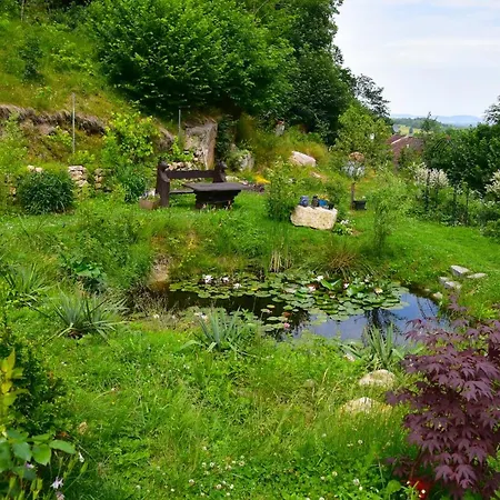 Wilcza Gajowka * Sosnówka