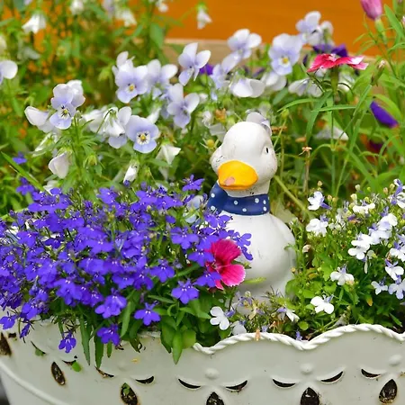 Wilcza Gajowka Фермерский дом