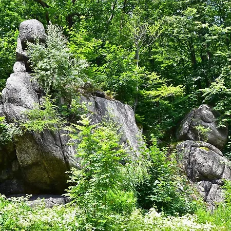 Wilcza Gajowka Bauernhof *