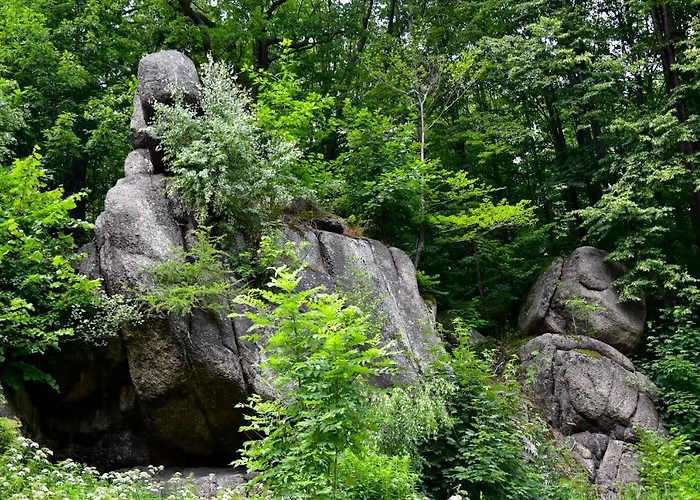 Wilcza Gajowka Farma *