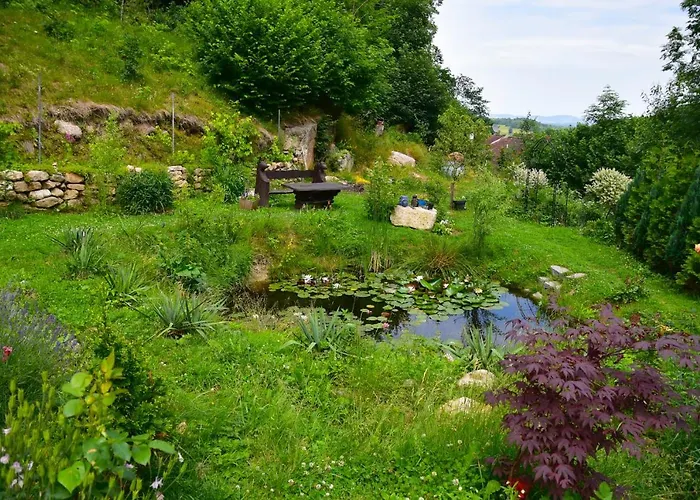 Wilcza Gajowka * Sosnówka