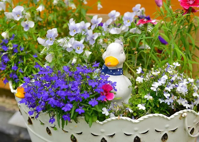 Wilcza Gajowka Farma