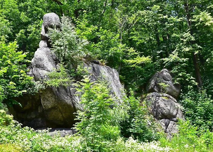 Wilcza Gajowka Farma *